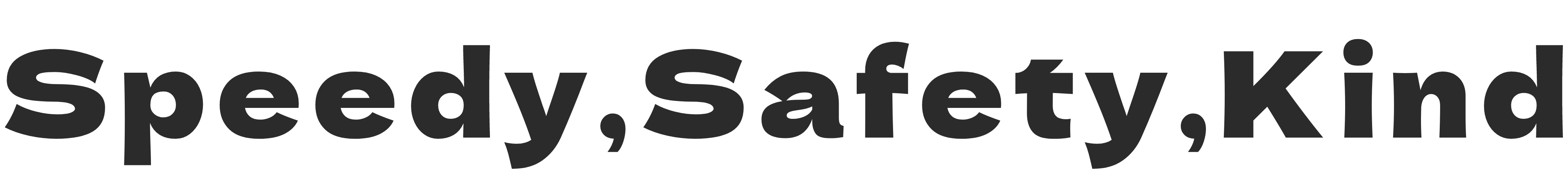 speedy safety kind logistics